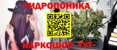 кокс Краснодар