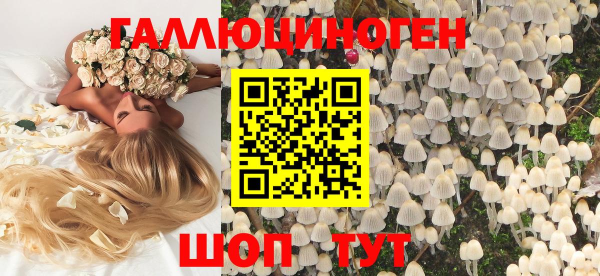 Кандалакша  Псилоцибиновые грибы мухоморы  Вход с VPN 