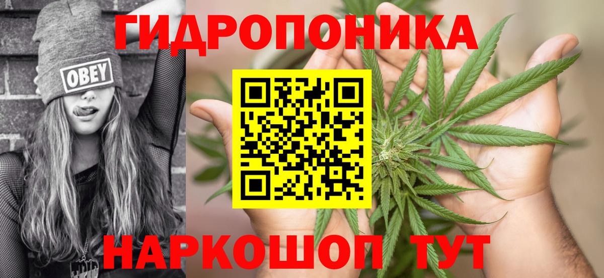 Каннабис индика  Конопля THC 21%  Вход с VPN  Кандалакша  Бошки Шишки семена 